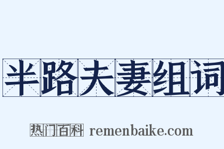 半路夫妻组词是什么意思的图片
